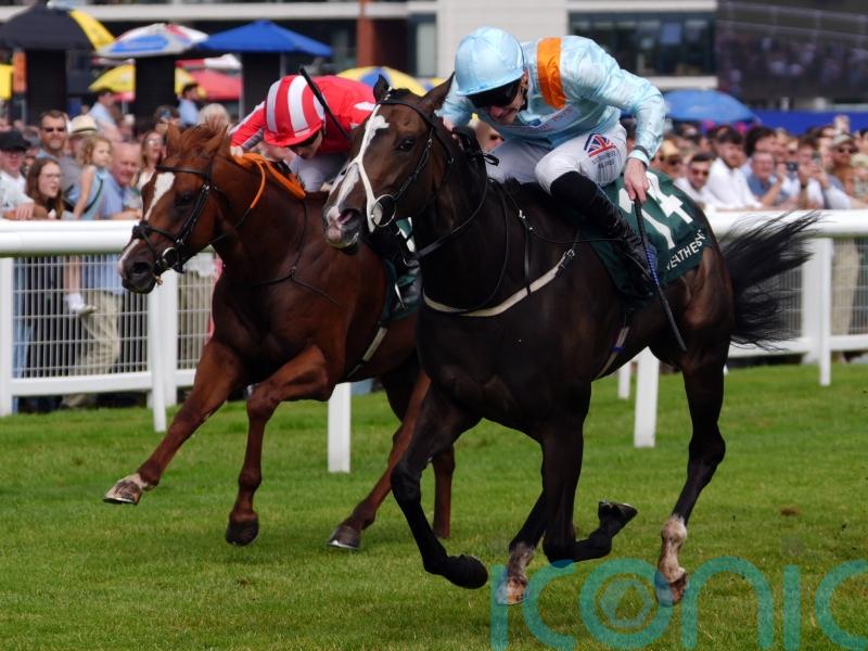 Half Million bid on the horizon for Anthelia