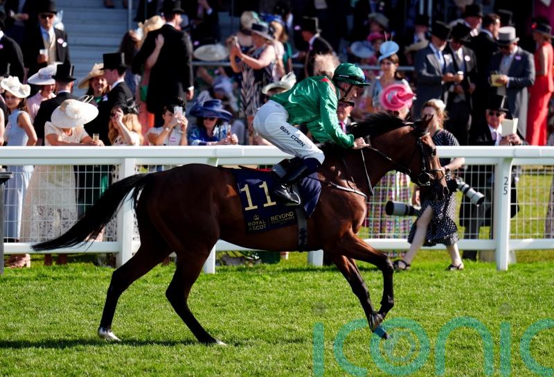 Royal Whip run could determine Zahraan plans