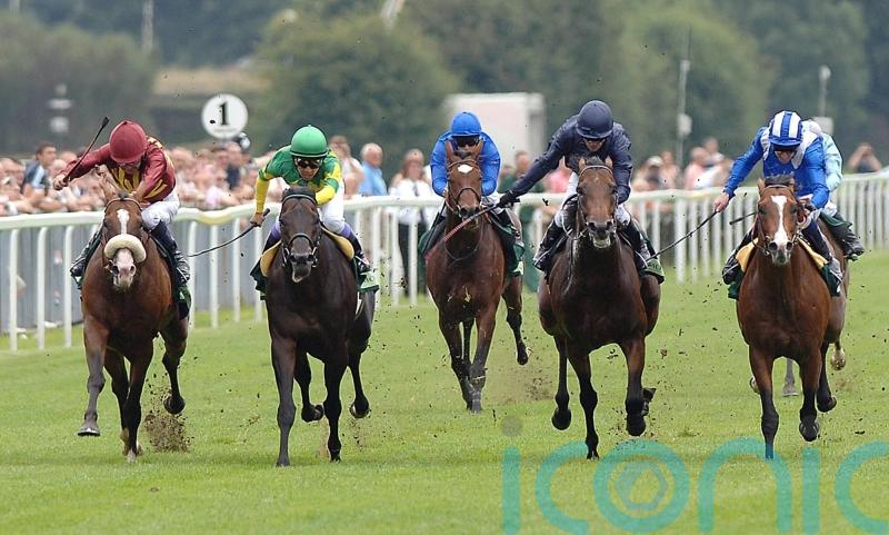 Sparks flew at York when Electrocutionist made it an Italian job