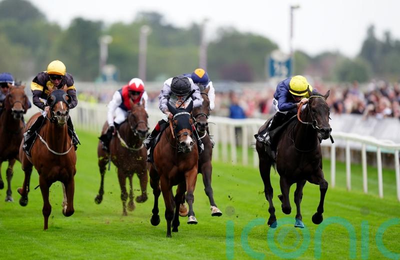 Trefor enters Ayr Gold Cup reckoning after York success