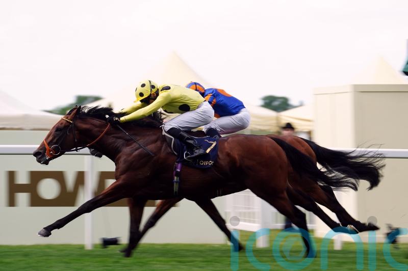 Rosallion ticking all the boxes ahead of City of York challenge