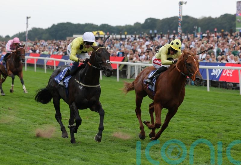 King Of Cities secures Strensall crown