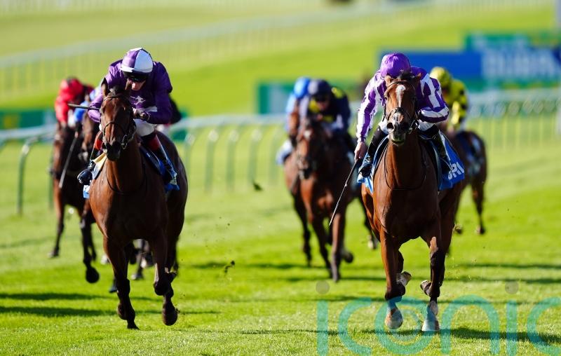 Cathedral hunting Atalanta honours for Kevin Philippart de Foy