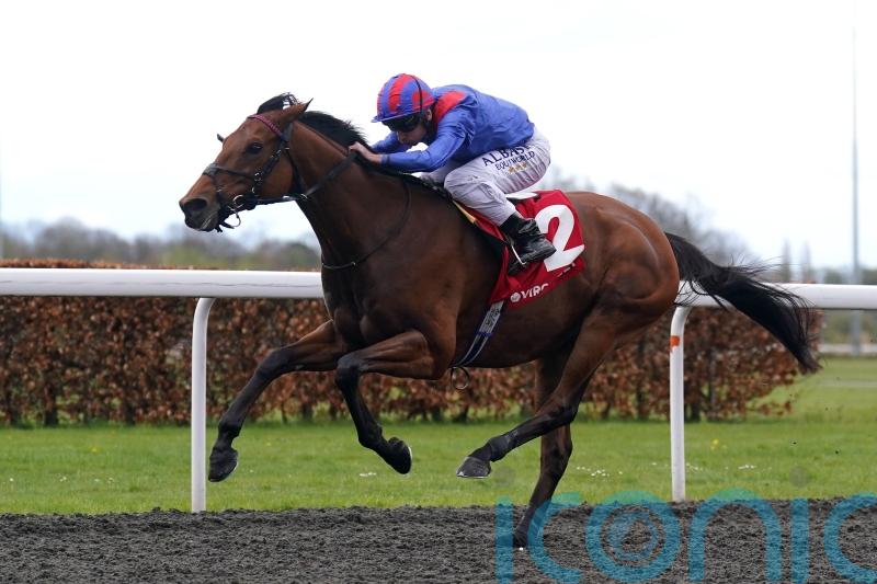 Dubai Honour goes for Baden-Baden gold