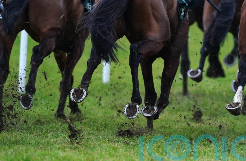 Trainer and rider charged over Hillsin run more than two years ago