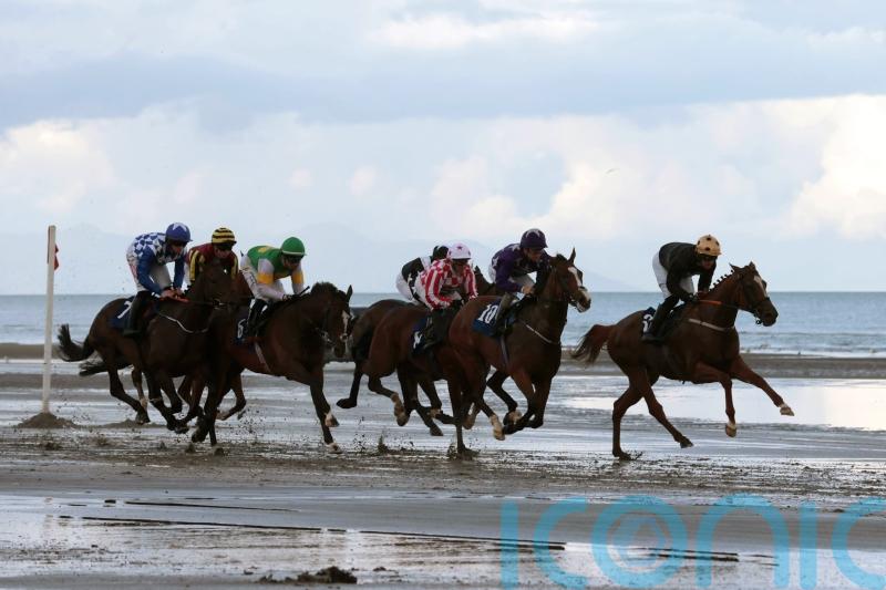 Lohengrin delights Alan Delany with Laytown glory