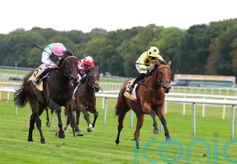 Haydock victor Bow Echo has Classic engagement on his radar