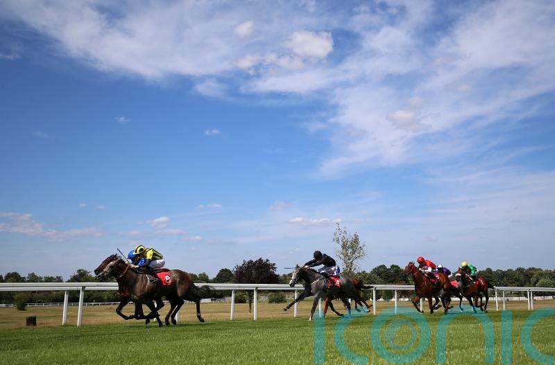 Injury forces early retirement for classy juvenile Staya