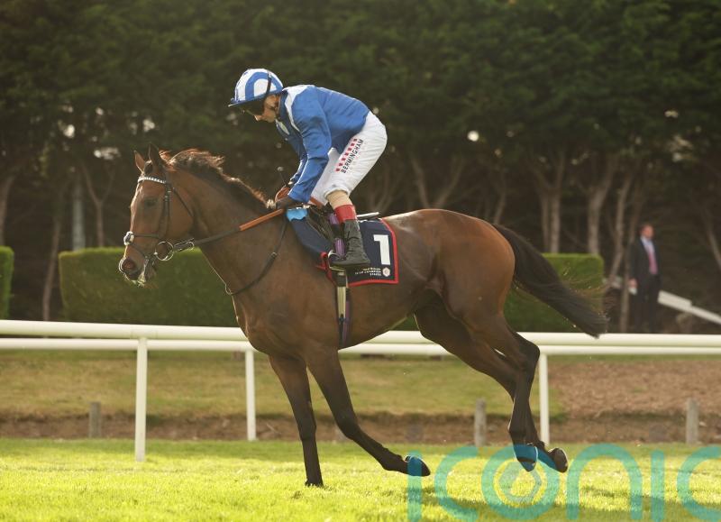 &lsquo;Absolute blinder&rsquo; of a run sets Anmaat up for Ascot defence