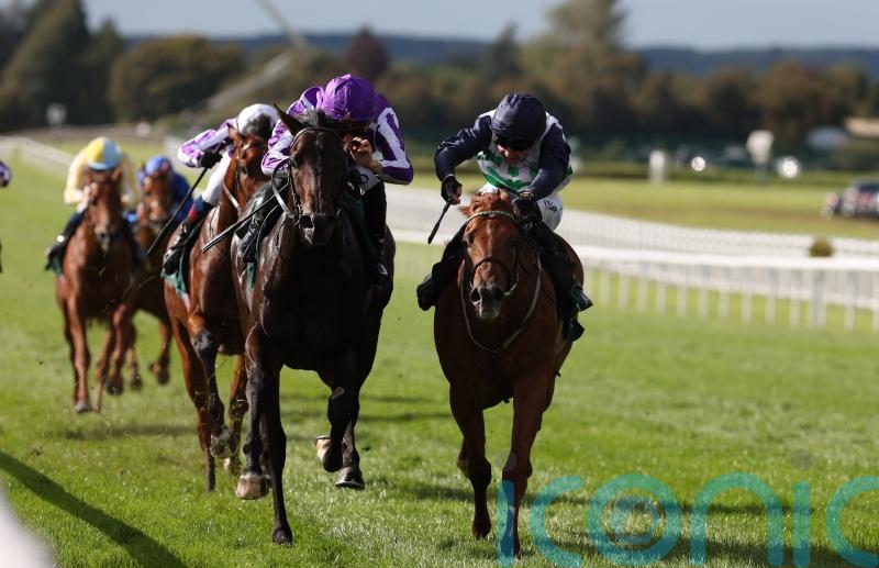 National Stakes glory for Eve Johnson Houghton and Zavateri