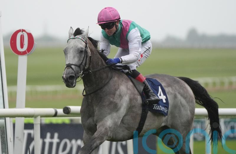 Field Of Gold &lsquo;very much on track&rsquo; to make QEII return