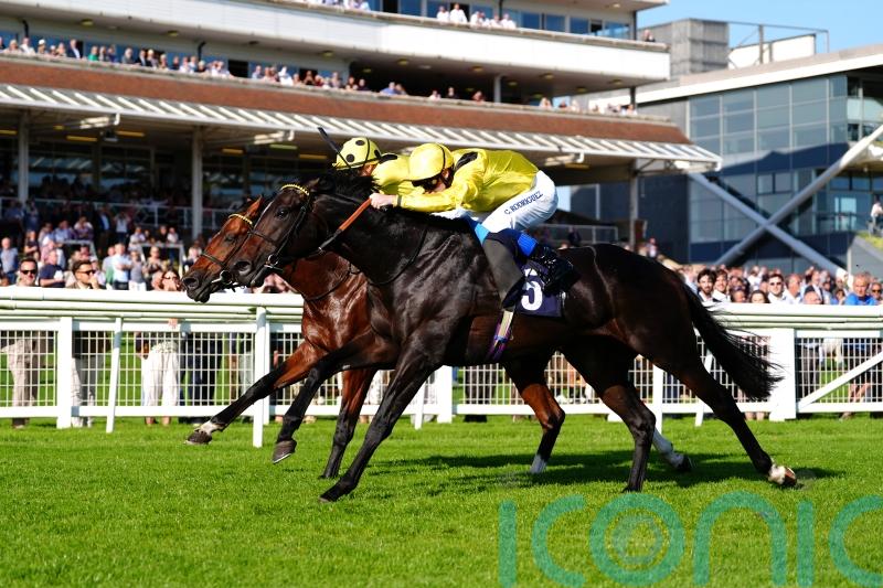 Remmooz secures narrow Cup success at Newbury