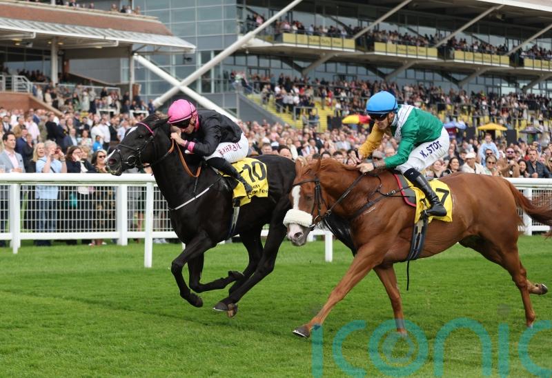 First Instinct pounces for Trophy success