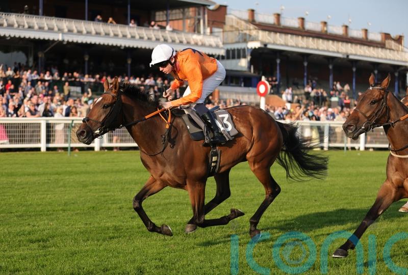 Caballo De Mar claims German Leger honours