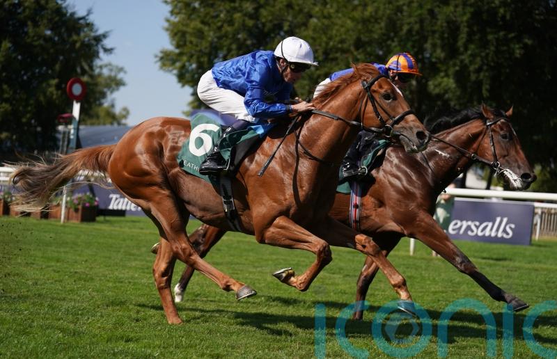 Distant Storm expected to leave York reverse behind him
