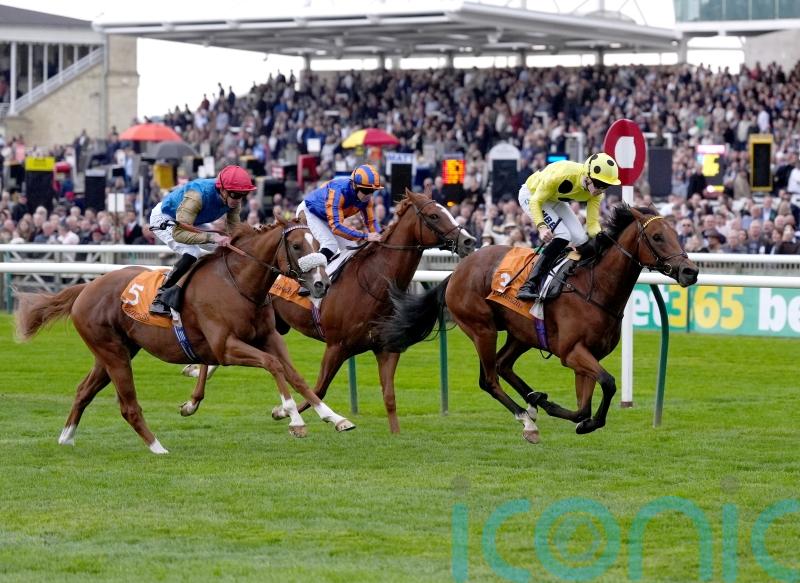 Bow Echo looks the part with Royal Lodge victory