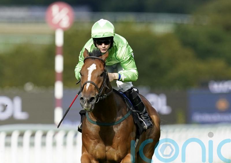 Quinn expecting mighty performance from Jm Jungle