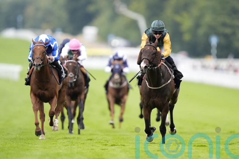 Witness Stand and Hollie Doyle ready to take Foret plunge