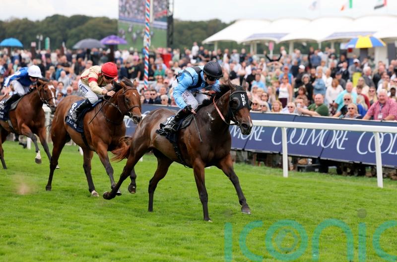 Abbaye bid for Asfoora sees Henry Dwyer still &lsquo;living the dream&rsquo;