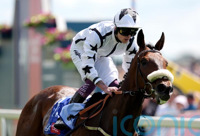 Long Distance Cup option open for Al Qareem