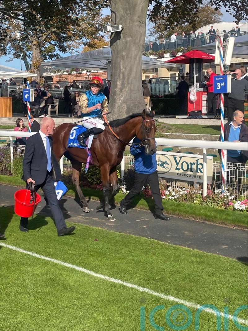 Division in class shows in victory at York