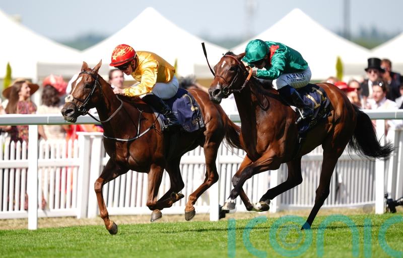 Cercene to return next year as Breeders&rsquo; Cup bid ruled out