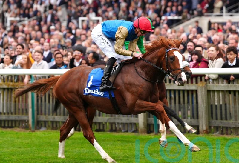 Damysus pencilled in for Sandown return in the spring