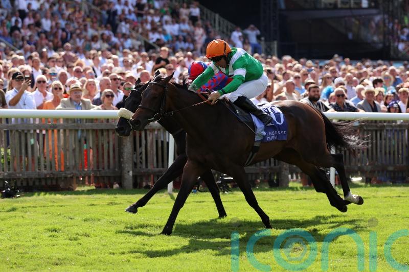 No Half Measures bows out following Champions Sprint run