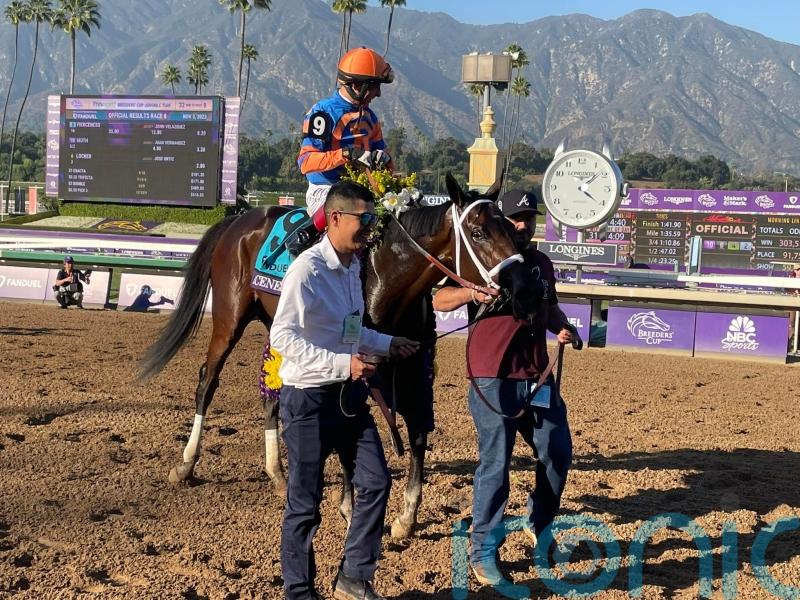 Fierceness primed to lead Pletcher&rsquo;s three-strong Classic challenge