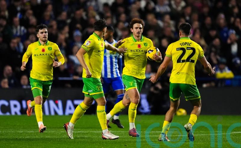 Norwich end six-match losing run with draw at Sheffield Wednesday