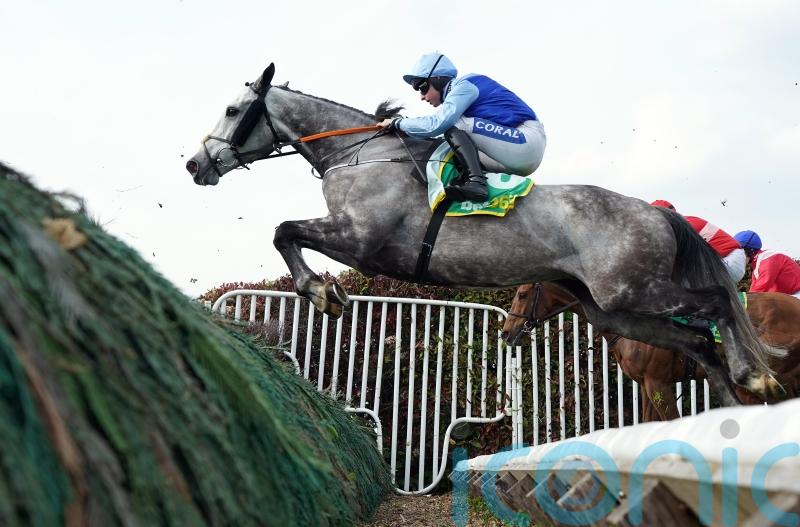 No rush to map out next outing for Resplendent Grey