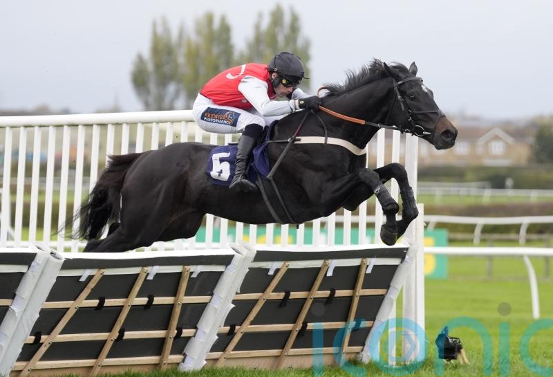 Nicol to continue Study&rsquo;s education at Cheltenham