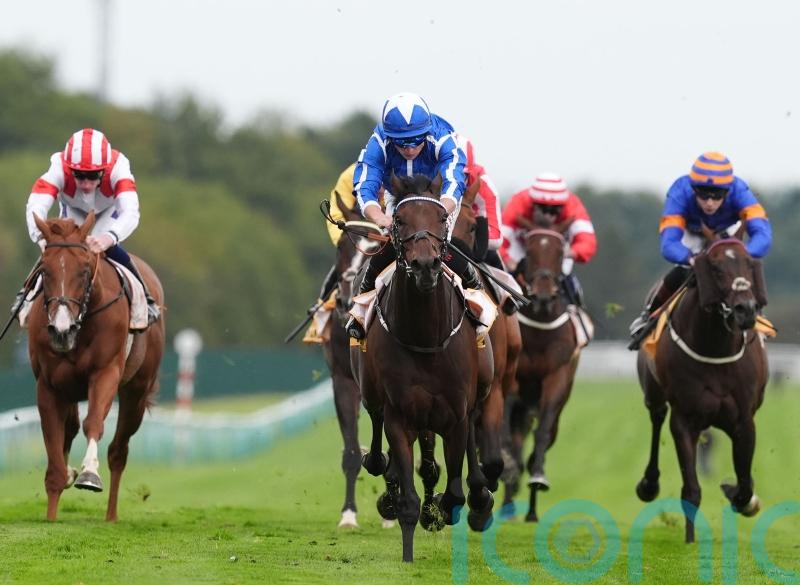 The Reverend to wait for hurdling debut