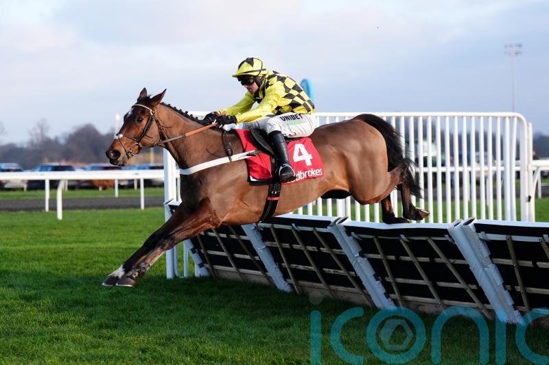 Arise, Sir Gino! Brilliant return for Nicky Henderson&rsquo;s star