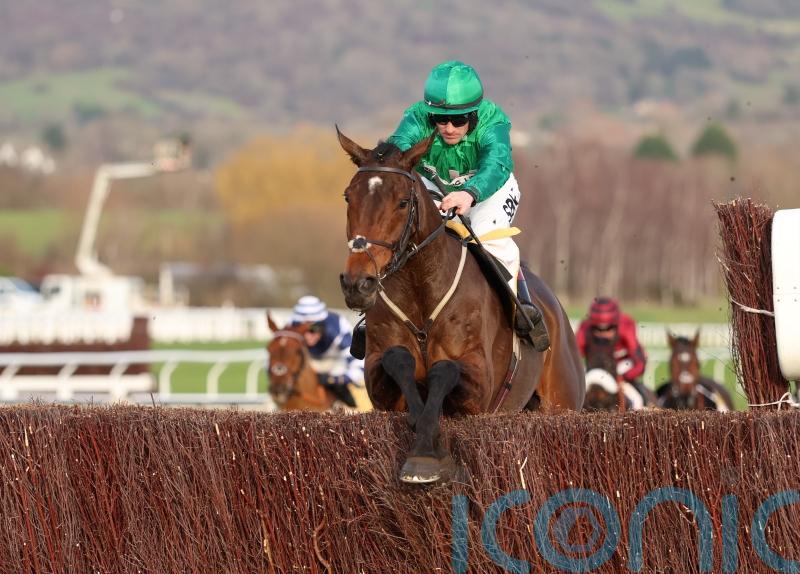 Matata relishes return to longer trip at Cheltenham