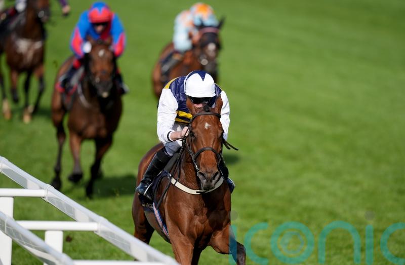 Hopes high for Sober-ing outcome at Punchestown