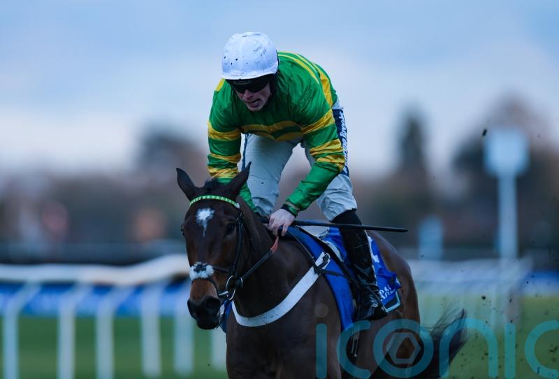 Iberico Lord rules supreme in Lanzarote Hurdle