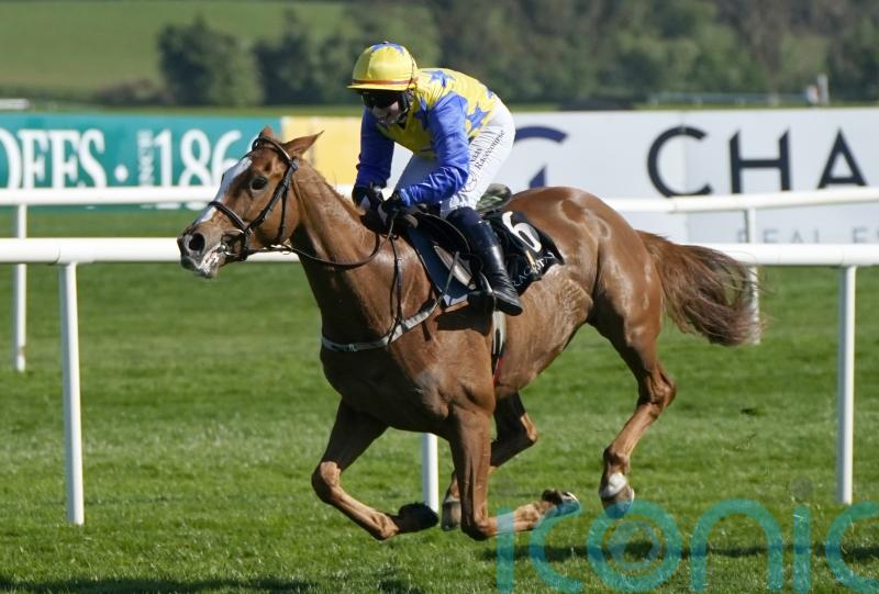 Bambino Fever aiming to regain winning thread