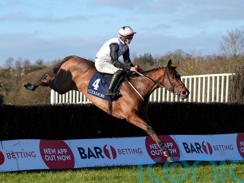 Kala Conti looks set for Grade One appearance at Sandown