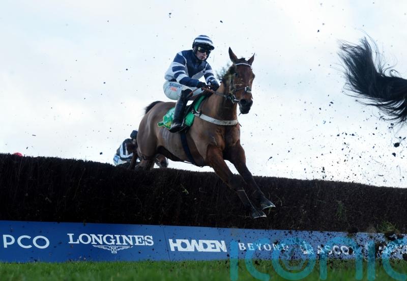 Vincenzo gains reward for string of consistent efforts