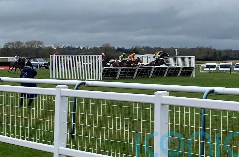 Feel Gut looks every inch the part on Warwick debut