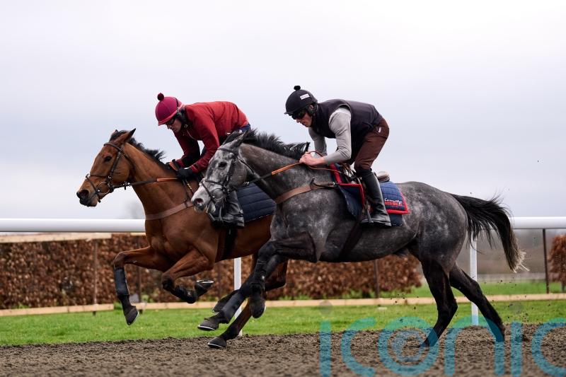 No Drama This End continuing to delight in Festival preparation