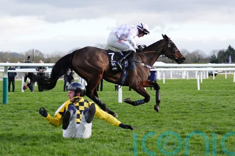 The New Lion favourite as Champion Hurdle picture is shaken up