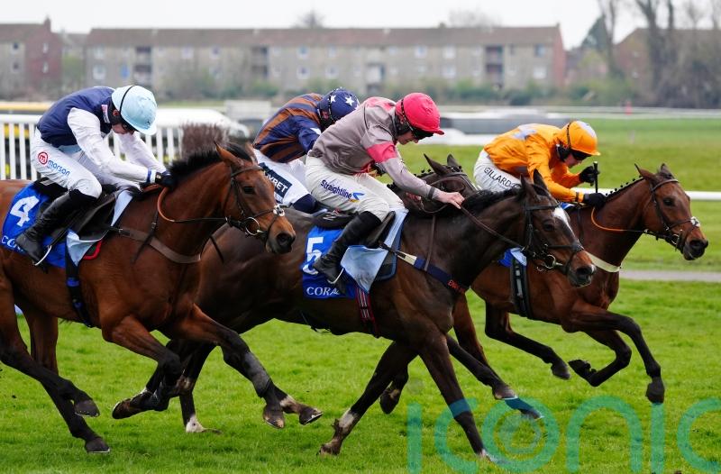 Kelso specialist Cracking Rhapsody seeking Morebattle Hurdle hat-trick