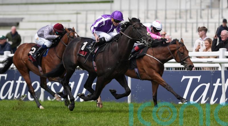 Albert Einstein set to be star turn at the Curragh